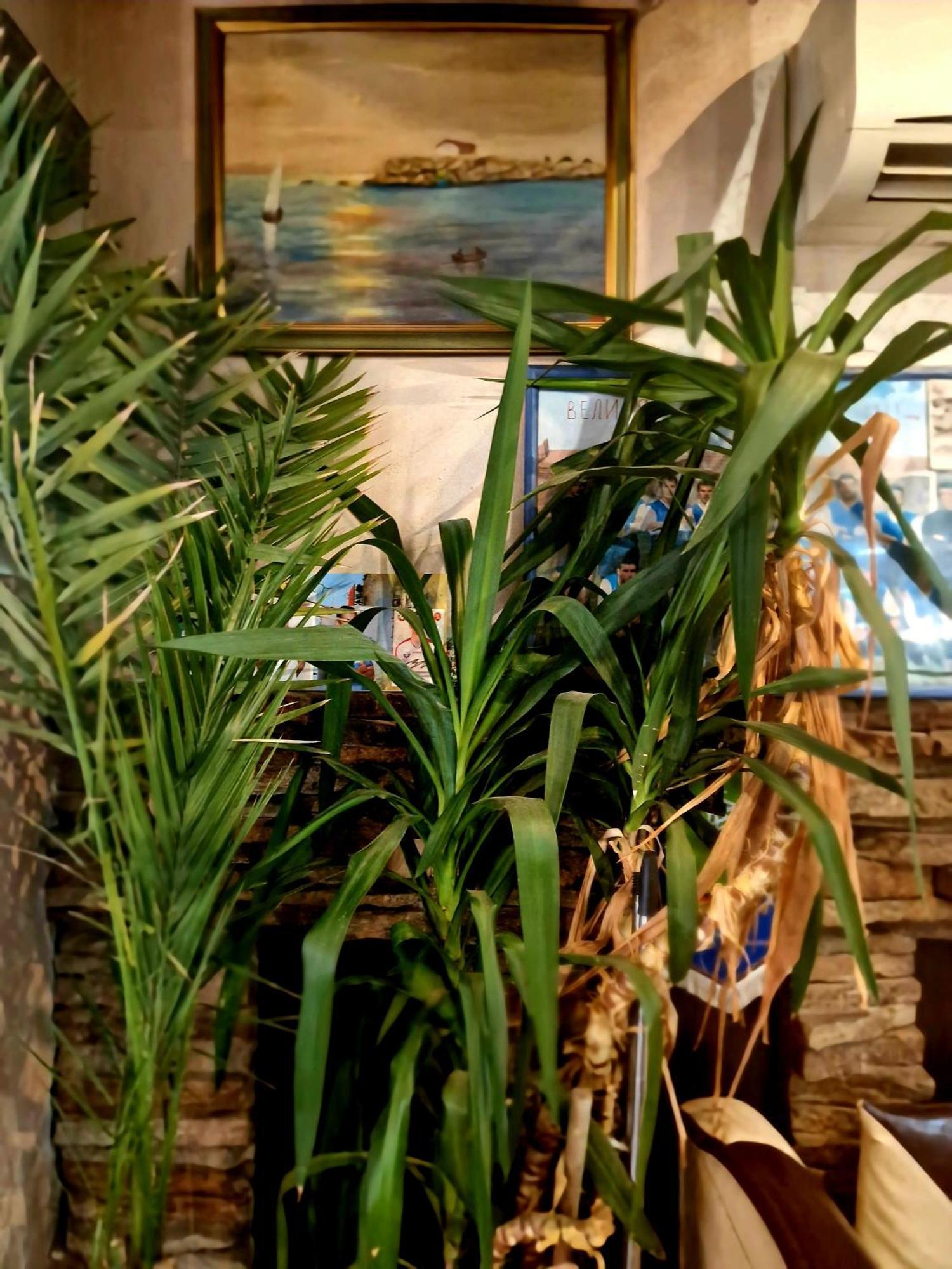 Family Hotel Four Seasons Carevo Kültér fotó